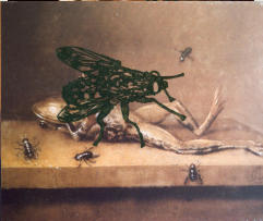 Mosca su Natura Morta, Xilo ad olio su foto, 20 x 30 cm 