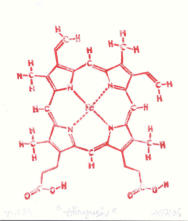 Hmoglobin, Xilo ad olio su carta, 30 x 20 cm