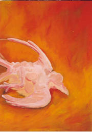 Vogel Orange, l auf Graupappe, 59 x 42 cm
