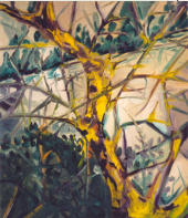 Corciano Gelbe Flechte, l auf BW, 45 x 40 cm