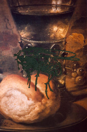 Mosca su Natura Morta, Xilo ad olio su foto, 30 x 20 cm 