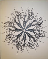 Mandala dalbero Lv, Xilo ad olio su carta, 42 x 30 cm