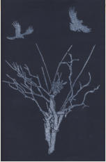 Albero di Lv, Xilo ad olio su carta, 30 x 20 cm
