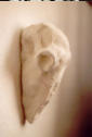 Animal skull, Acrylic on cotton on gesso, 10,5 x 9 x 22 cm